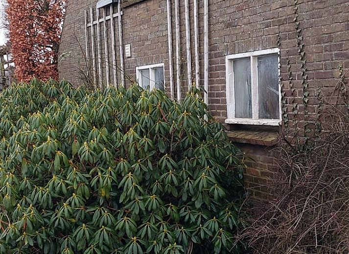 Ferienhaus in Klarenbeek, ein gemuetliches Ferienhaus in der Veluwe, Gelderland, umgeben von Natur und rustikalem Charme.