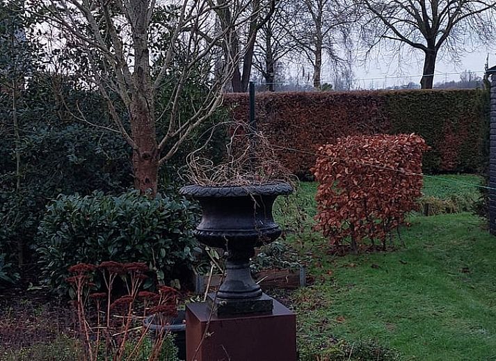 Ferienhaus in Klarenbeek, ein gemuetliches Ferienhaus in der Veluwe, Gelderland, umgeben von Natur und rustikalem Charme.