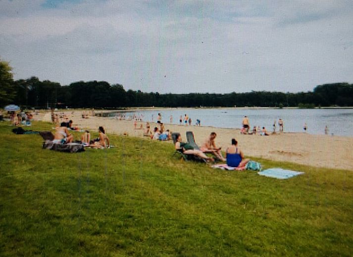 Aussenansicht eines Ferienhauses in Klarenbeek, Veluwe, umgeben von gruenen Straeuchern und einer rustikalen Backsteinfassade in Gelderland.