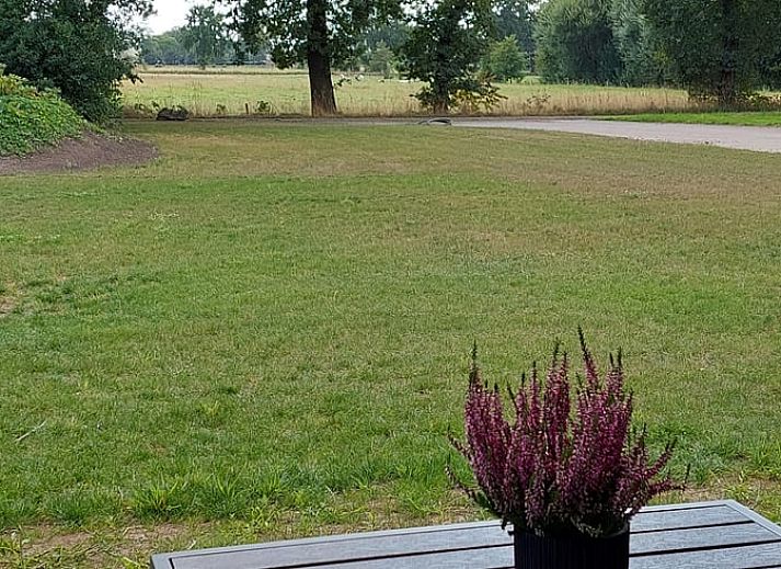 Guest house 327002 - Bed and Breakfast Veluwe - Huisje in Stroe