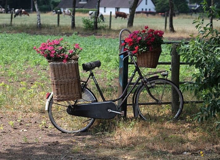 Stilvolle Ecke im Ferienhaus in Stroe, Veluwe, mit Sessel und dekorativen Elementen.
