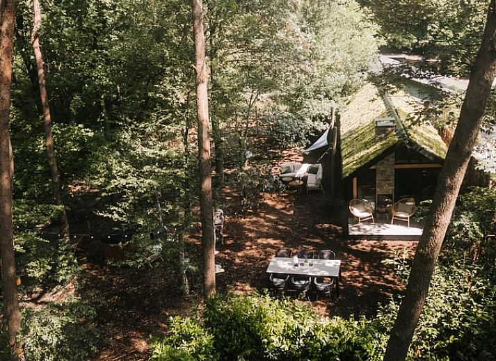 Unterkunft 327008 • Ferienhaus Veluwe • Vakantiehuis in Stroe