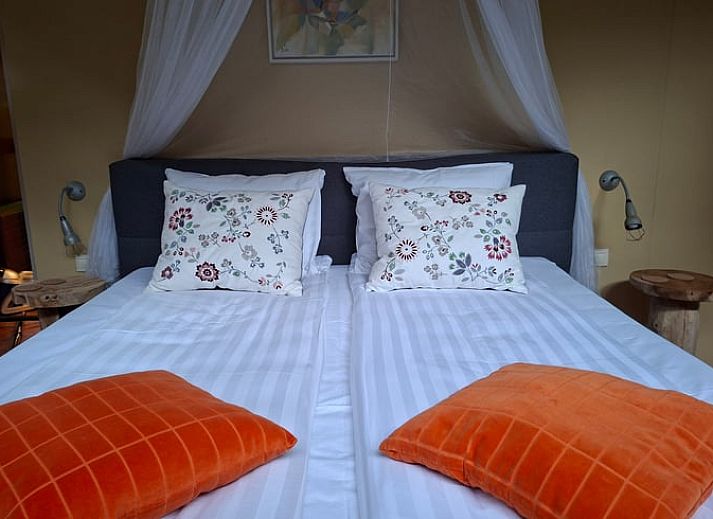 Guest house 327011 - Holiday property Veluwe - Huisje in Stroe