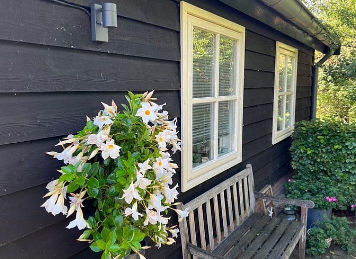 Guest house 327102 - Bed and Breakfast Veluwe - Vakantiehuisje in Beemte Broekland