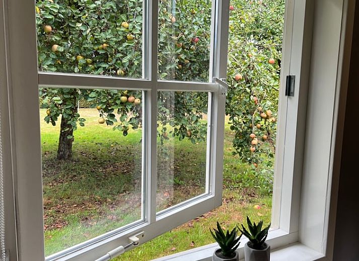 Guest house 327102 - Bed and Breakfast Veluwe - Vakantiehuisje in Beemte Broekland