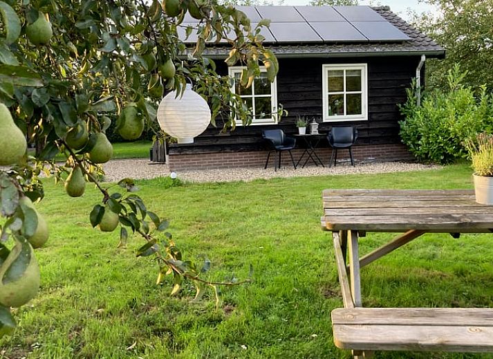 Guest house 327102 - Bed and Breakfast Veluwe - Vakantiehuisje in Beemte Broekland