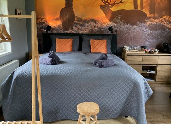 Guest house 327102 - Bed and Breakfast Veluwe - Vakantiehuisje in Beemte Broekland