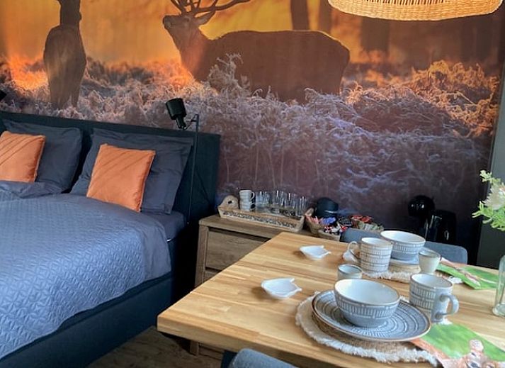 Guest house 327102 - Bed and Breakfast Veluwe - Vakantiehuisje in Beemte Broekland