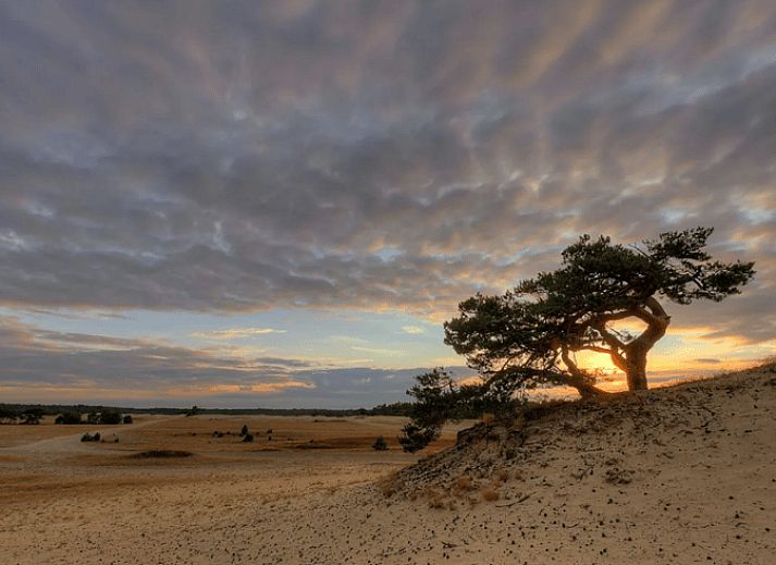 Unterkunft 327304 - Ferienhaus Veluwe - Vakantiehuisje in Hierden