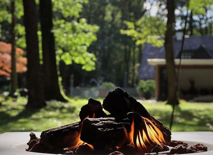 Cozy vacation home in Ugchelen, Veluwe, Gelderland with modern look and wooded area.