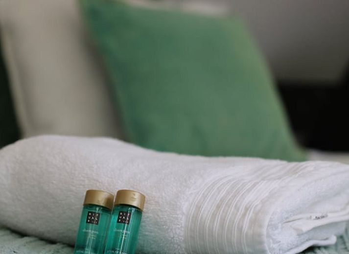 Cozy vacation home in Ugchelen, Veluwe, Gelderland with modern look and wooded area.