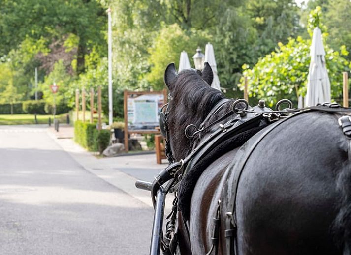 Vacation home in Ugchelen, Veluwe, Gelderland surrounded by flowers and rustic charm.