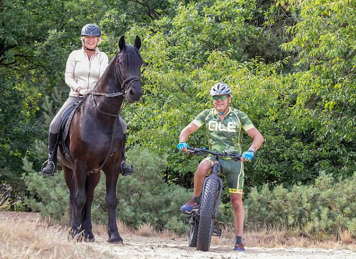 Vacation home in Ugchelen, Veluwe, Gelderland surrounded by flowers and rustic charm.