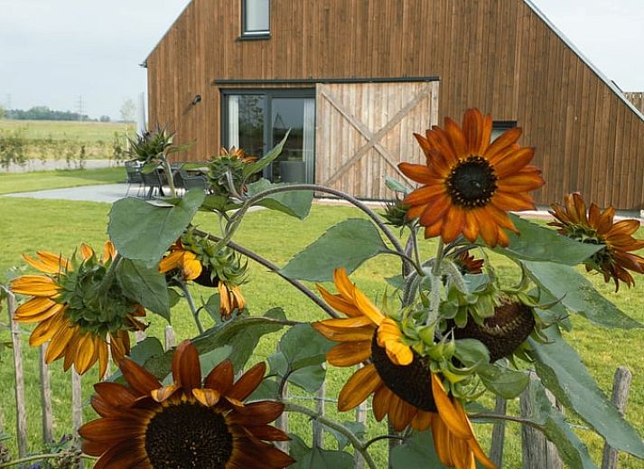 Huisje in Veessen, een rustiek vakantiehuis op de Veluwe in Gelderland, met houten gevel en bloementuin.