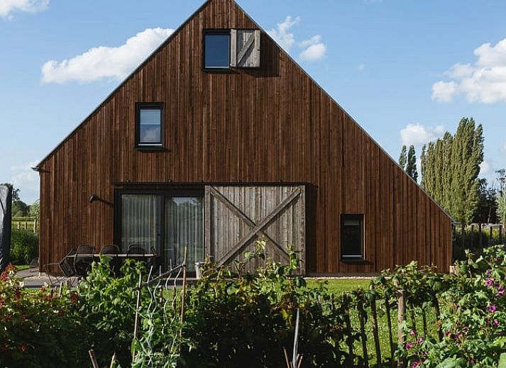 Moderne keuken in Huisje in Veessen, vakantiehuis op de Veluwe, met open planken en strakke inrichting.