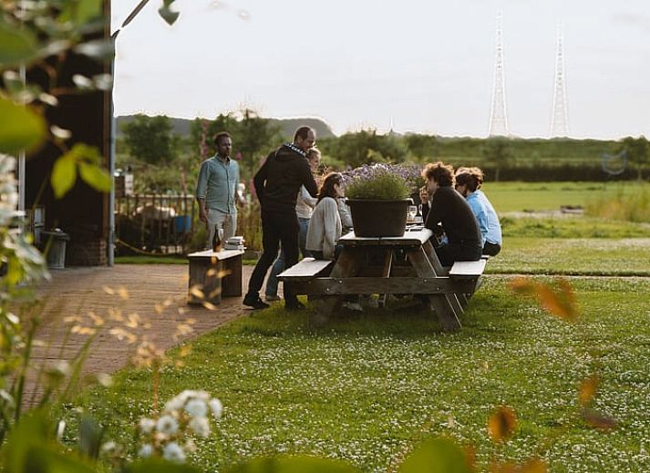 Moderne keuken in Huisje in Veessen, vakantiehuis op de Veluwe, met open planken en strakke inrichting.