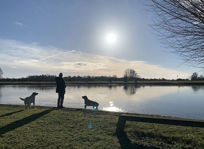 Moderne keuken in Huisje in Veessen, vakantiehuis op de Veluwe, met open planken en strakke inrichting.