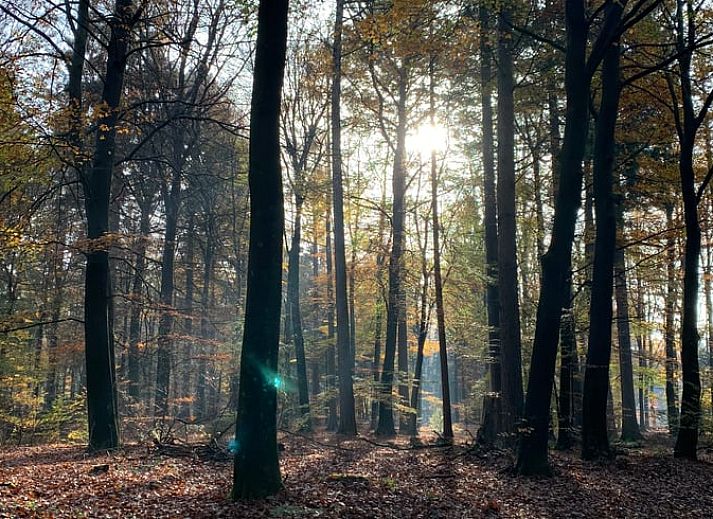 Moderne Kueche des Huisje in Veessen, Ferienhaus an der Veluwe in Gelderland, mit Kochinsel und Geraeten.