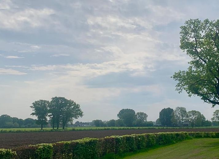 Gezellig terras bij Vakantiehuis in Barneveld, Veluwe, Gelderland met schaduwrijke bomen.