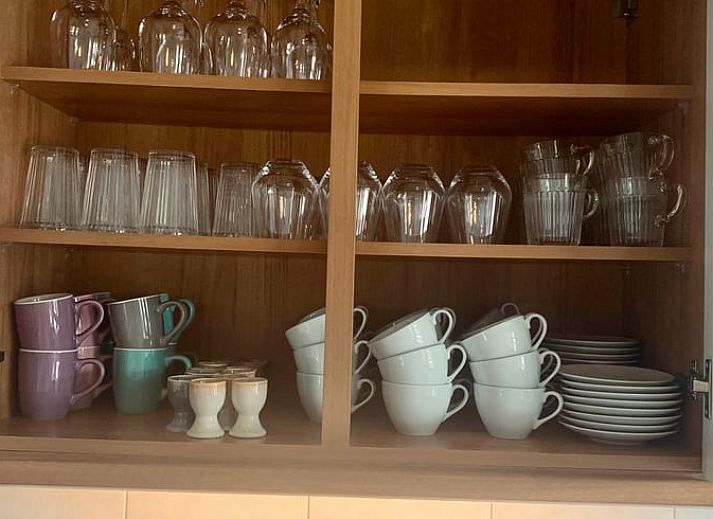 Uitzicht op de natuurlijke omgeving van Vakantiehuis in Barneveld, Veluwe, Gelderland.