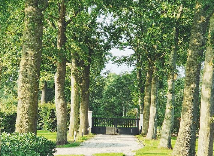 Verblijf 328401 - Vakantiewoning Veluwe - Huisje in Terschuur
