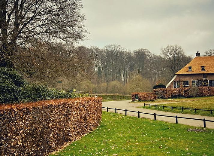 Cottage in Rozendaal, Gelderland Ferienhaus mit Blick auf den Wald.