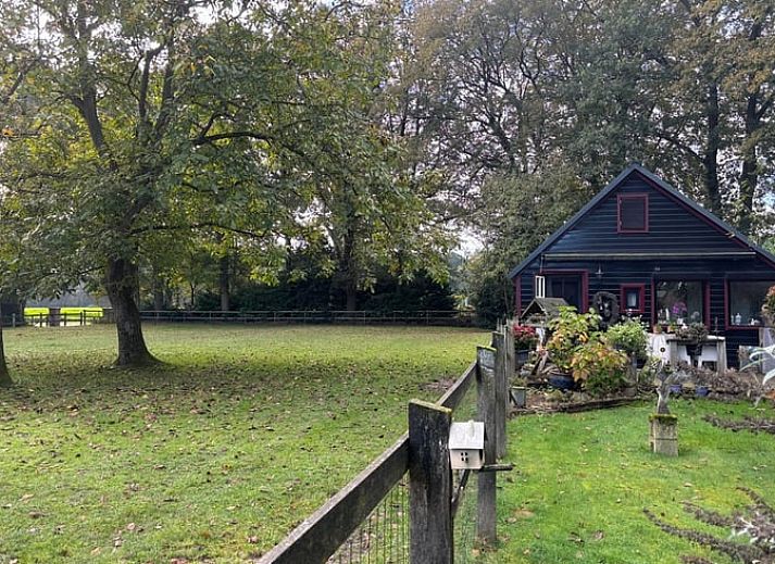 Gemuetliches Wohnzimmer mit Kamin in Cottage in Houtdorp Gemeinde Ermelo, Veluwe, Gelderland.