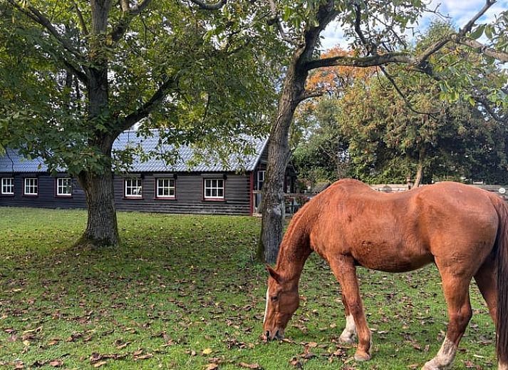 Komfortable Sitzecke im Ferienhaus Cottage in Houtdorp, Ermelo, Veluwe, Gelderland.