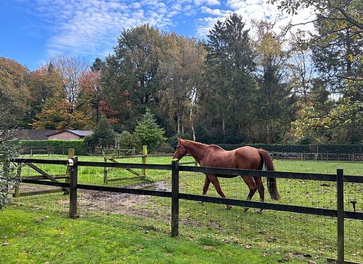 Komfortable Sitzecke im Ferienhaus Cottage in Houtdorp, Ermelo, Veluwe, Gelderland.