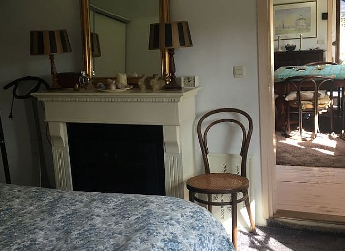 Gruener Garten mit Blumen am Ferienhaus in Houtdorp, Gemeinde Ermelo, Veluwe, Gelderland.