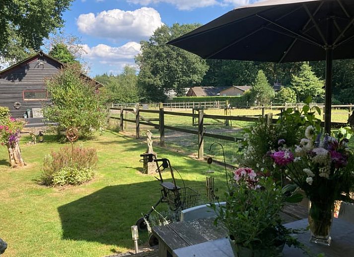 Sonnige Terrasse mit Sonnenschirm am Ferienhaus Cottage in Houtdorp, Ermelo, Veluwe, Gelderland.