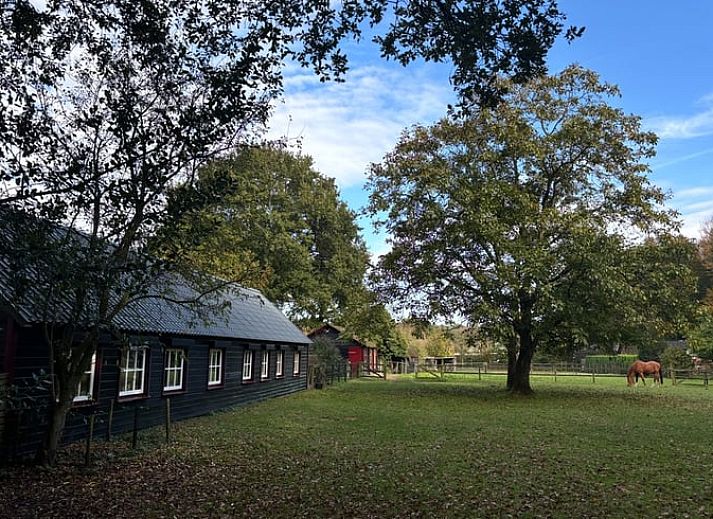 Geraeumiger Garten mit Baeumen beim Ferienhaus in Houtdorp, Ermelo, Veluwe, Gelderland.