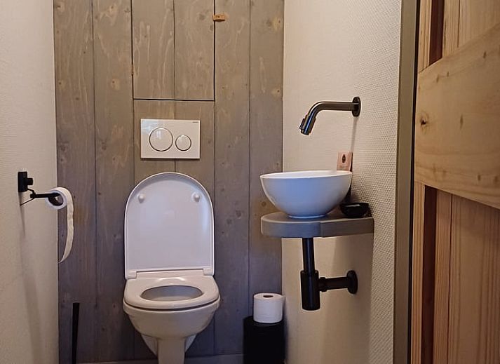 Charmante veranda bij Vakantiehuisje in Uithuizermeeden, Noordoost Groningen, omringd door bloemen en groen.