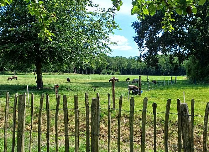 Moderne badkamer in Vakantiehuisje in Uithuizermeeden, Noordoost Groningen, met stijlvol toilet en wastafel.