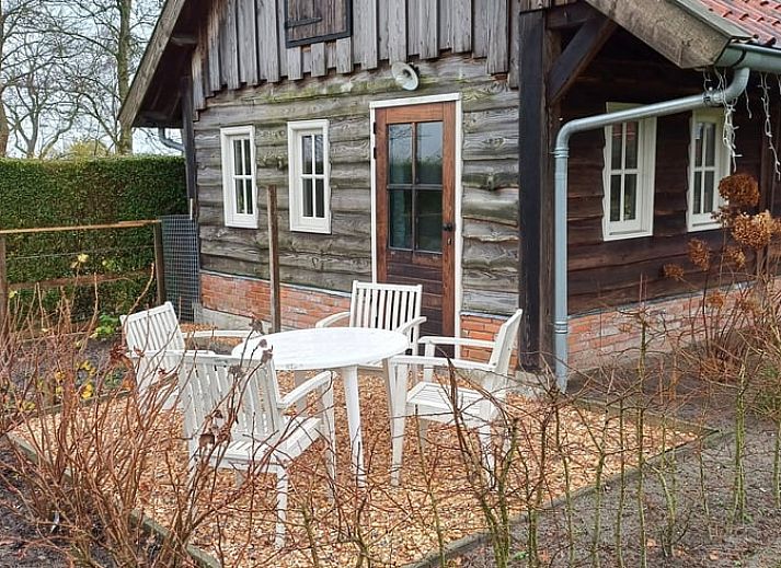 Gezellige woonkamer in Vakantiehuisje in Uithuizermeeden, Noordoost Groningen, met comfortabele bank en planten.