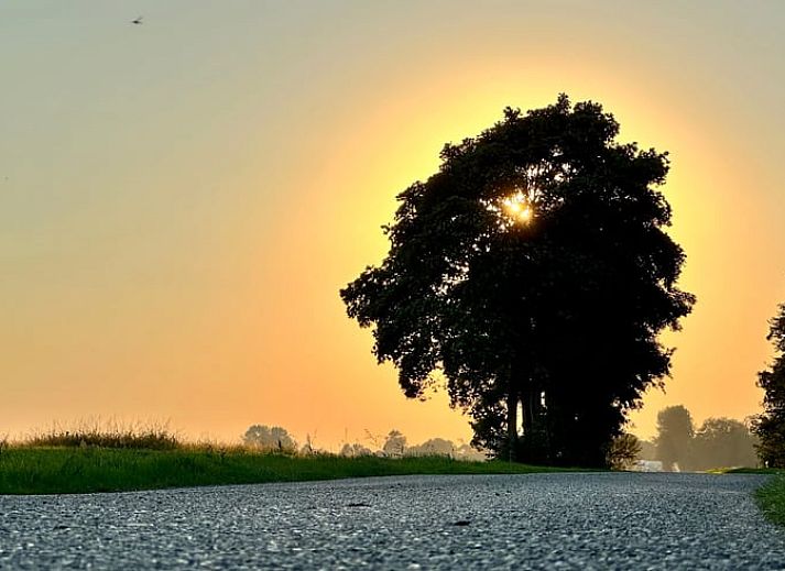 Gezellige woonkamer in Vakantiehuisje in Uithuizermeeden, Noordoost Groningen, met comfortabele bank en planten.