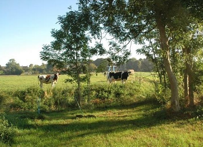 Unterkunft 330703 - Ferienhaus Noordoost Groningen - GR002
