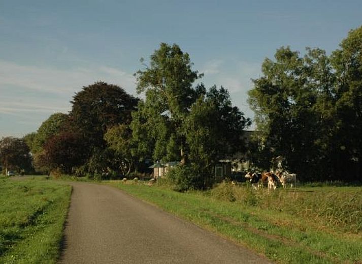 Unterkunft 330703 - Ferienhaus Noordoost Groningen - GR002