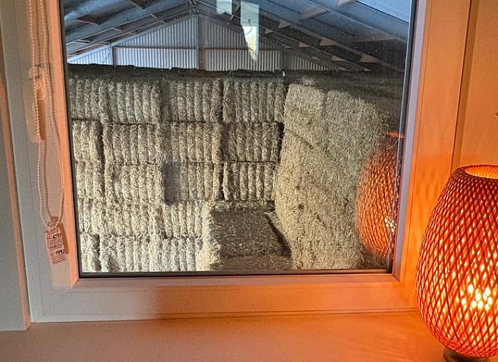 Attractive bedroom in Holiday cottage in Schildwolde, northeastern Groningen, with comfortable bed and country mural.