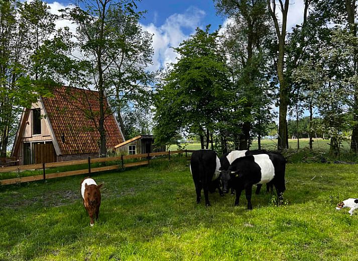 Verblijf 333103 • Vakantiewoning Noordoost Groningen • Vakantiehuisje in Tinallinge