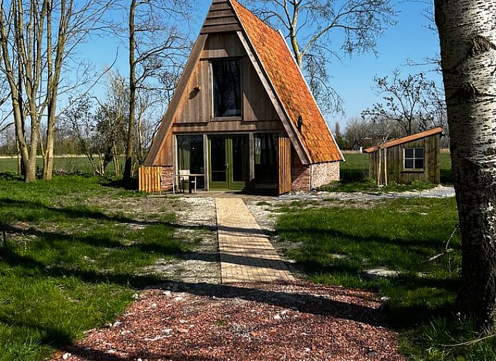 Vakantiehuisje in Tinallinge, Noordoost Groningen, omgeven door groene weiden en grazende koeien.