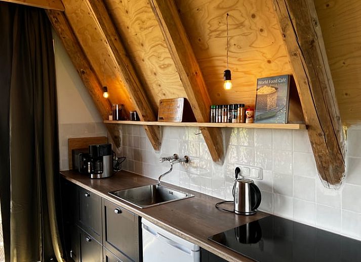 Vakantiehuisje in Tinallinge, Noordoost Groningen, omgeven door groene weiden en grazende koeien.