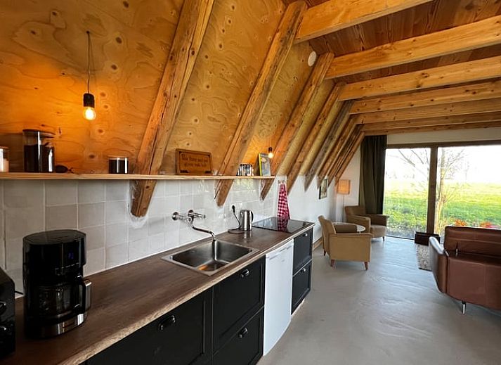 Vakantiehuisje in Tinallinge, Noordoost Groningen, omgeven door groene weiden en grazende koeien.