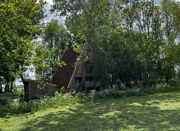 Charmant vakantiehuisje in Tinallinge, Groningen, met houten gevel en rustieke uitstraling.