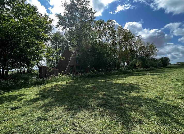 Gezellige woonkamer in Vakantiehuisje in Tinallinge met uitzicht op groene velden.