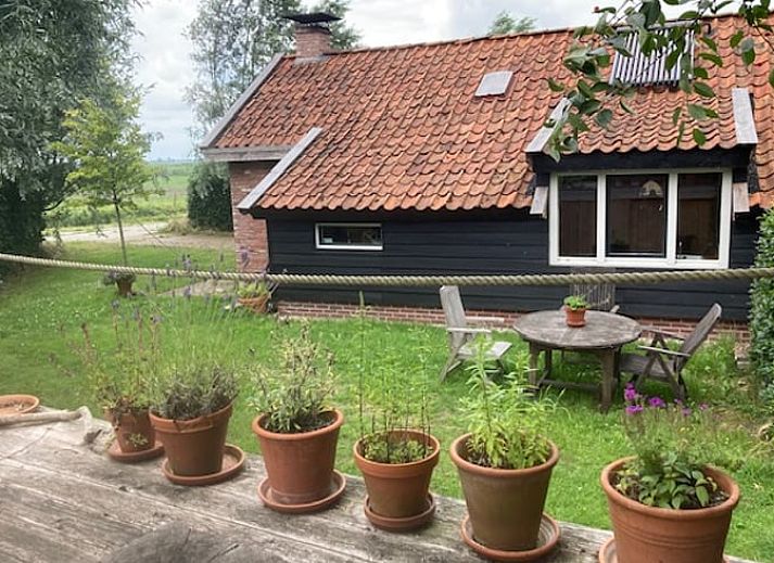 Uitzicht op weelderige velden nabij Vakantiehuis in Overschild, Groningen.