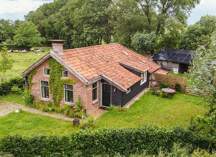 Uitzicht op weelderige velden nabij Vakantiehuis in Overschild, Groningen.