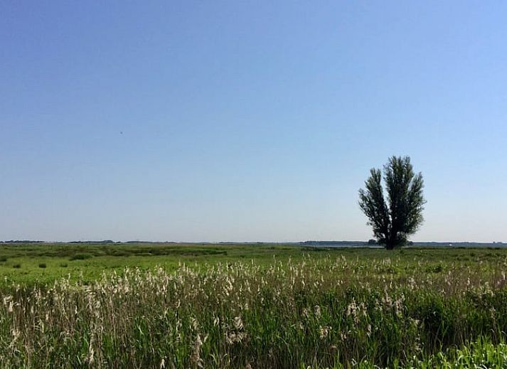 Gezellige woonkamer van Vakantiehuis in Overschild, Noordoost Groningen.