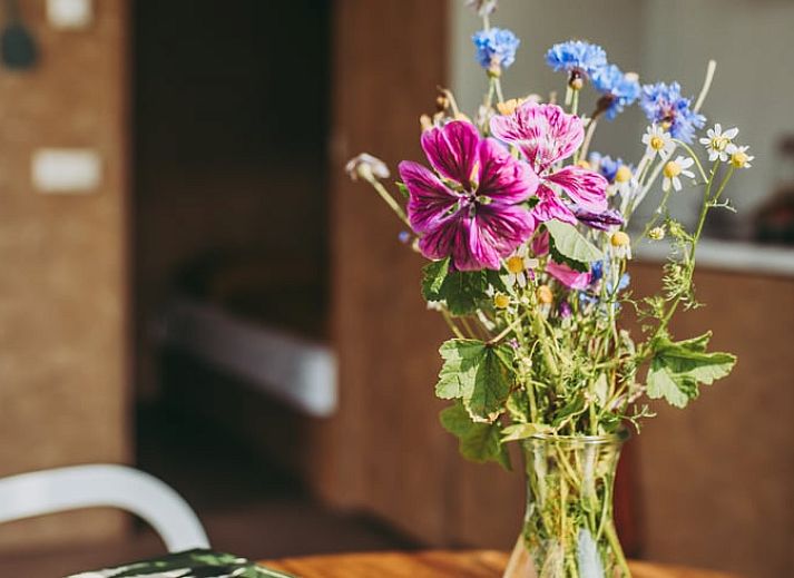 Unterkunft 334102 - Ferienhaus Noordoost Groningen - Vakantiehuis in Usquert