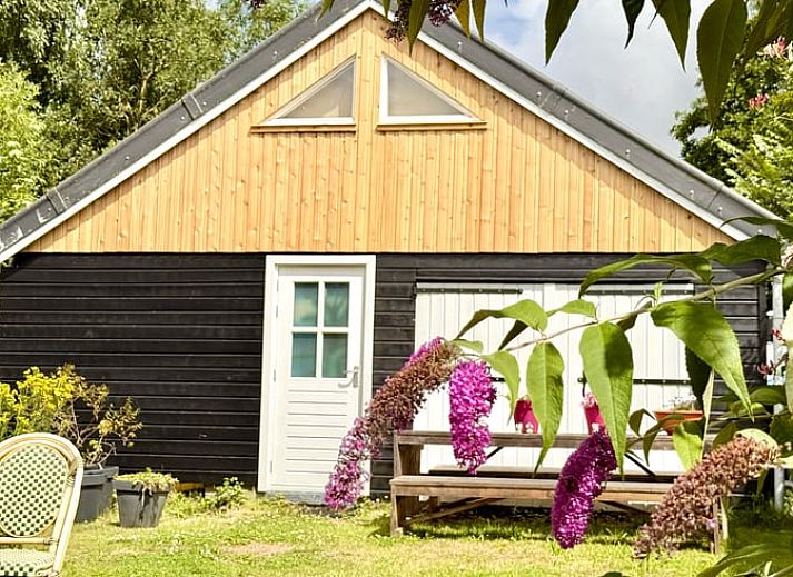 Unterkunft 340304 - Ferienhaus Noordwest Groningen - Huisje in Pieterburen